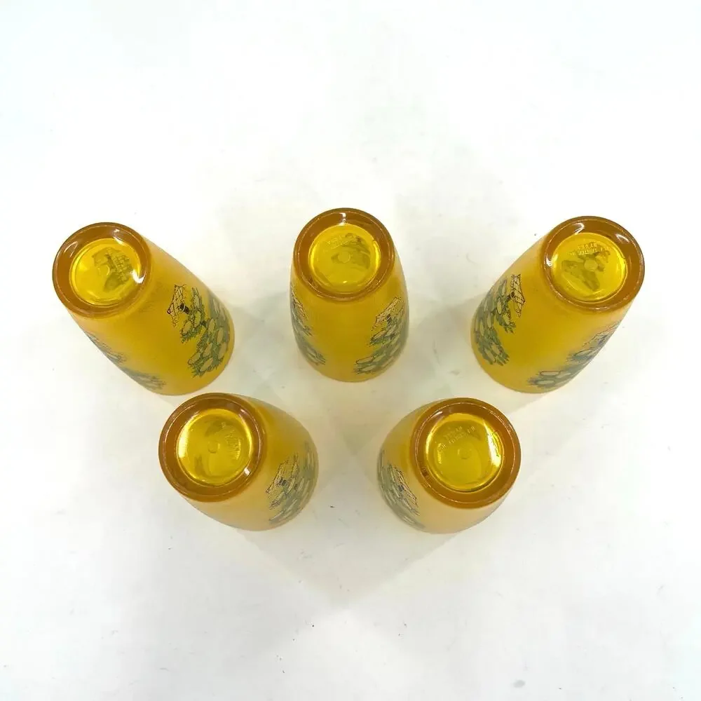 MCM vintage HJ Stotter acrylic drinking glasses lemon tree. Set of 5
